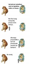 Ceny u fryzjera 2025 