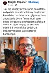 Bidulek