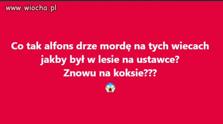 Drze ryja jakby w lesie był