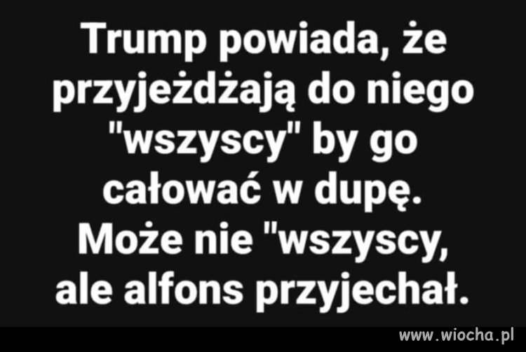 Pisowskie alfonsy tak mają ...