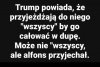 Pisowskie alfonsy tak mają ...