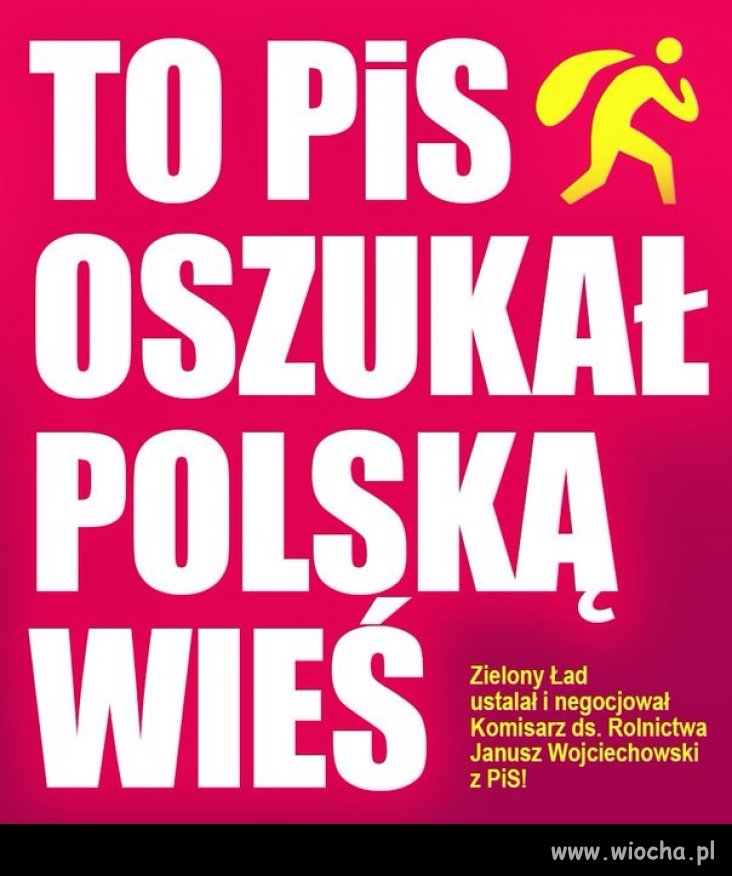 Politycy PiS zarabiali miliony na wwożeniu 