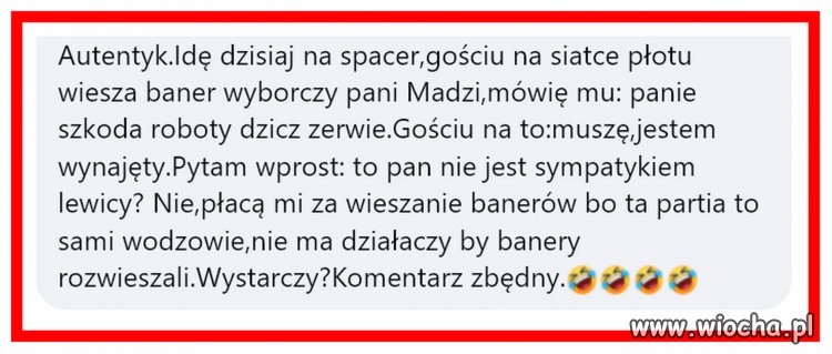 Wicie rozumicie