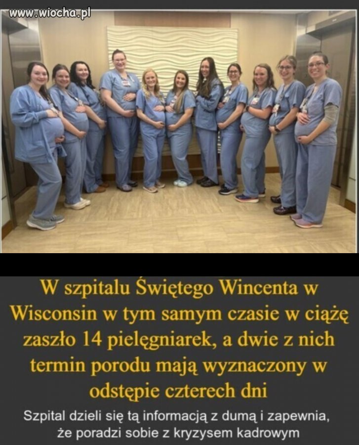Się chwalą, sobie dadzą radę 