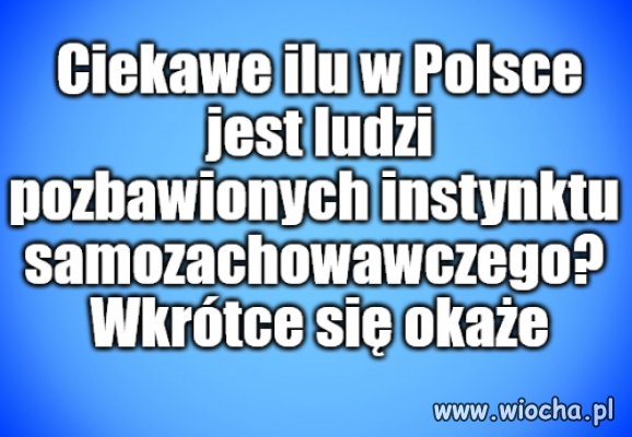 Kolega pytał