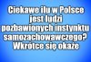 Kolega pytał