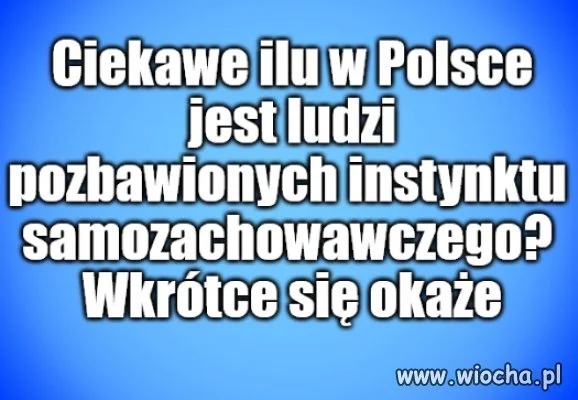 Kolega pytał