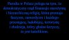 Przykre to, bo tak prawdziwe ...