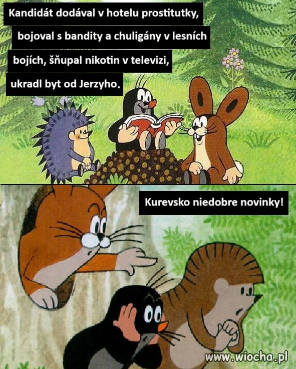 Česká televize