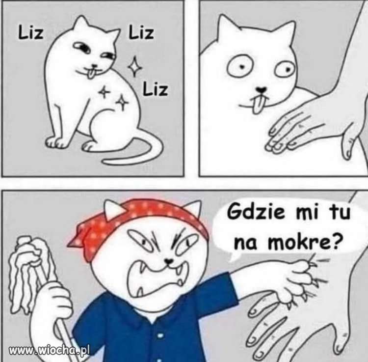 Każdy się bał, każdy się słuchał 