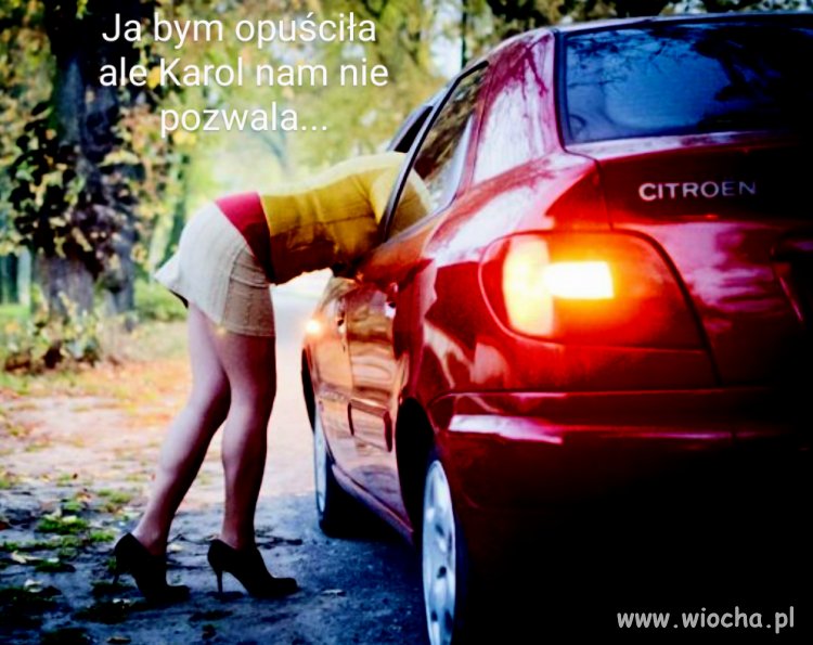 Mecenas ssaków leśnych.