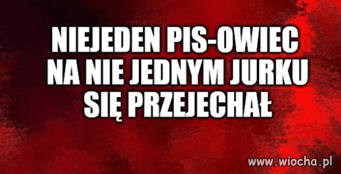 Imię fatum dla pisiaka