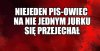 Imię fatum dla pisiaka