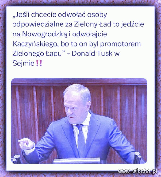 Tak było pisowskie przygłupy