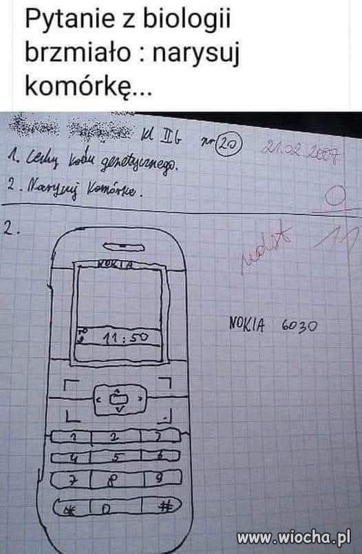 Tak jest