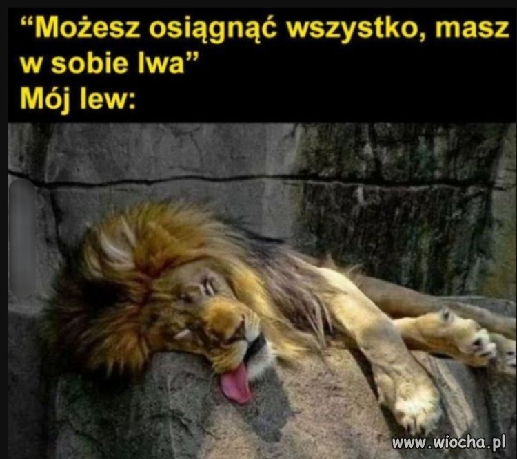 Masz w sobie bestie 