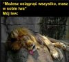 Masz w sobie bestie 