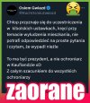 W punkt