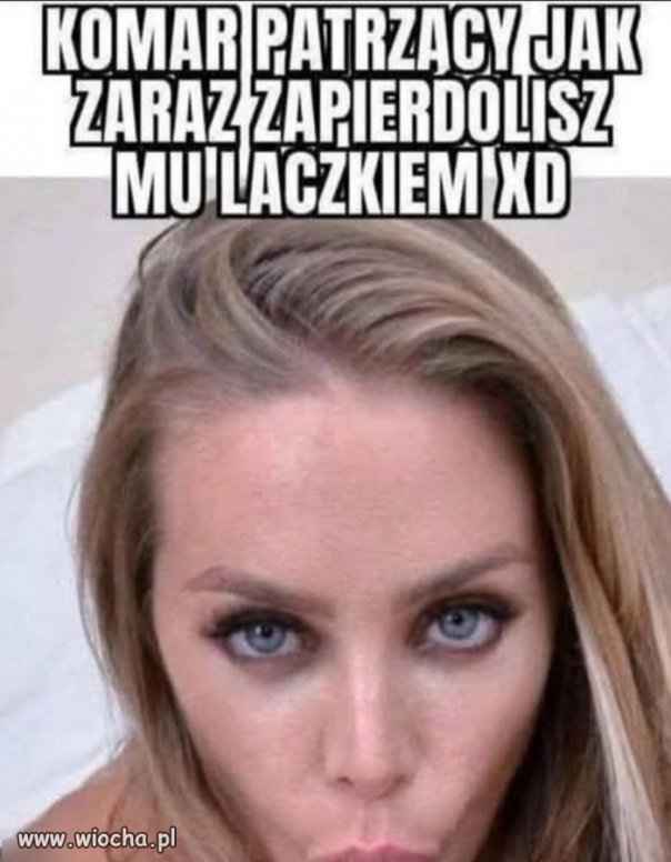 A wy jak reagujecie na komary?