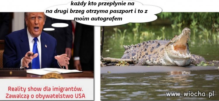 Walka o hamerykańskie