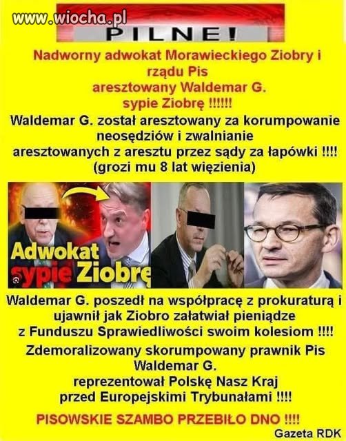 W tym bagnie wszyscy siedzą