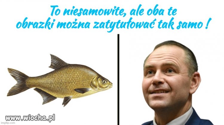 Zagadka !
