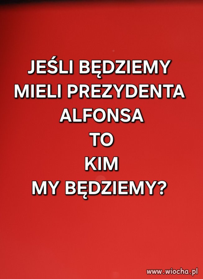 Chcesz należeć do stadka Alfonsa Batyra