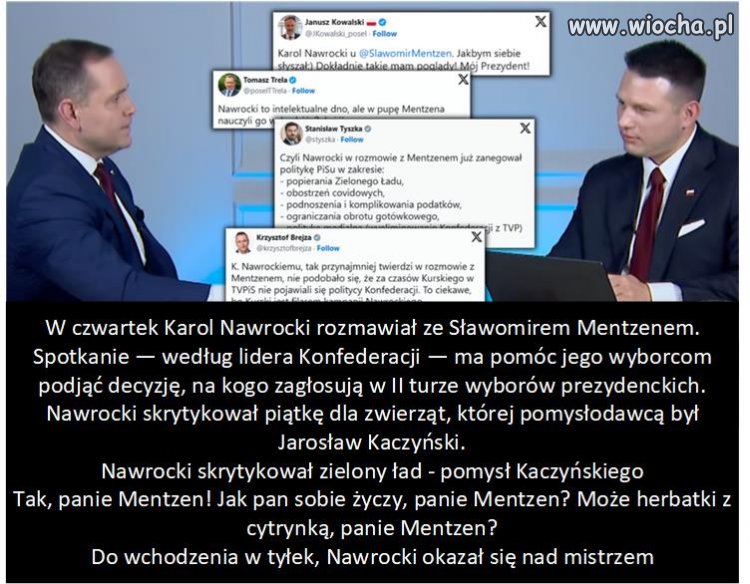 Spotkanie małpy z pis z cywilizacją.
