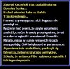 Nie znaleźli nic. No to wystawili własnego alfonsa, na którego...