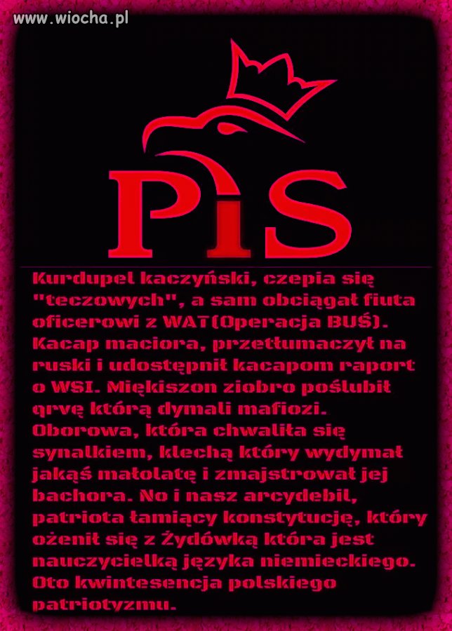 Krótka charakterystyka pisowców