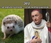 Czy jeż odpowie przed Sądem