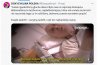 Człowiek który medialnie usprawiedliwiał watykańskiego pedofila, 