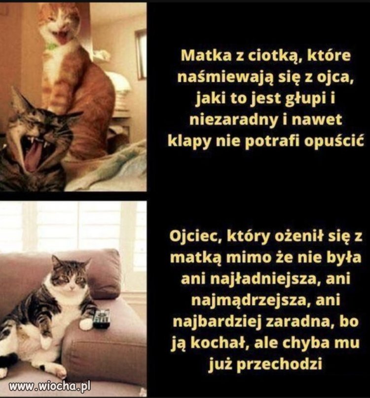 I już wiesz 