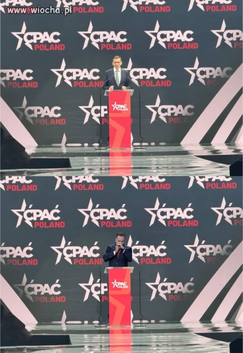 Znajdź różnicę. 