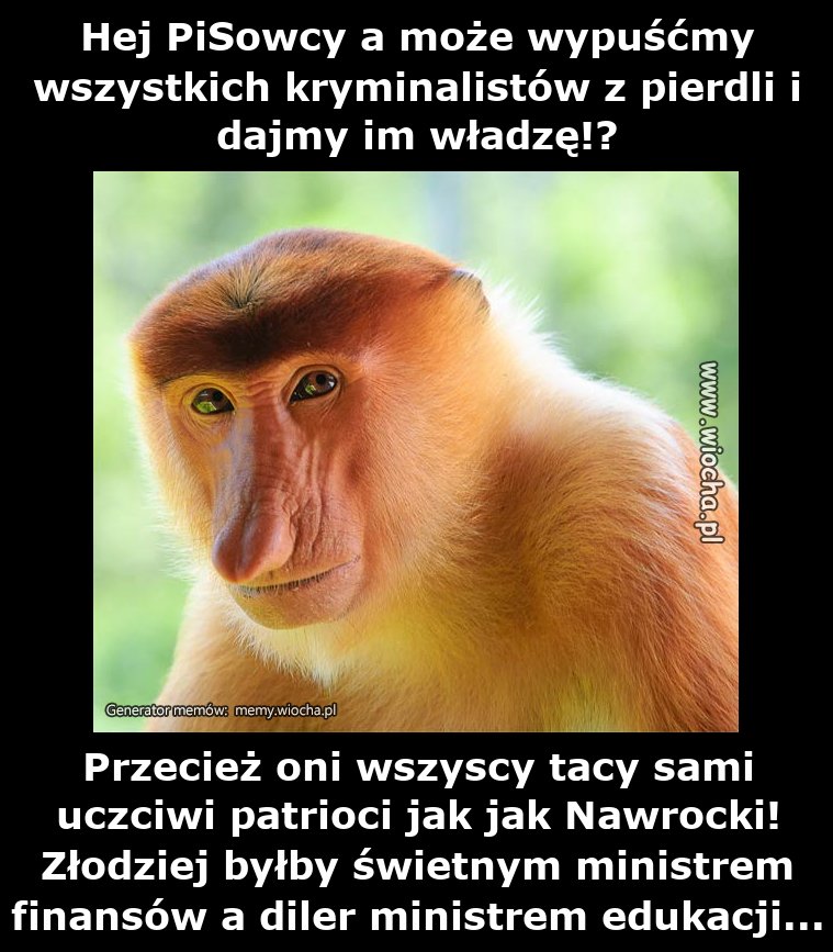 Hej PiSowcy a może wypuśćmy wszystkich