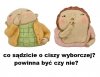  pytanie na dziś