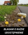 Jeśli one wyginą my też 