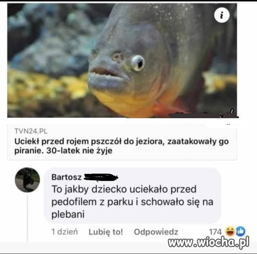 Coś w tym jest...