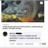 Coś w tym jest...