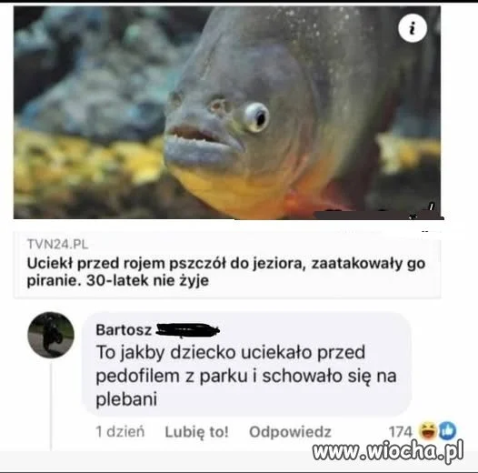 Coś w tym jest...