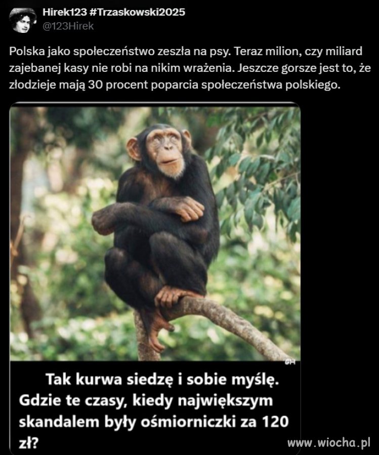 Niepojęte jest to poparcie. 