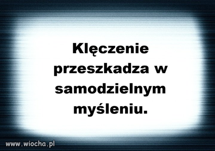Wybory
