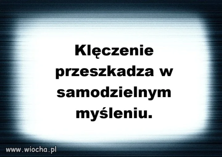 Wybory