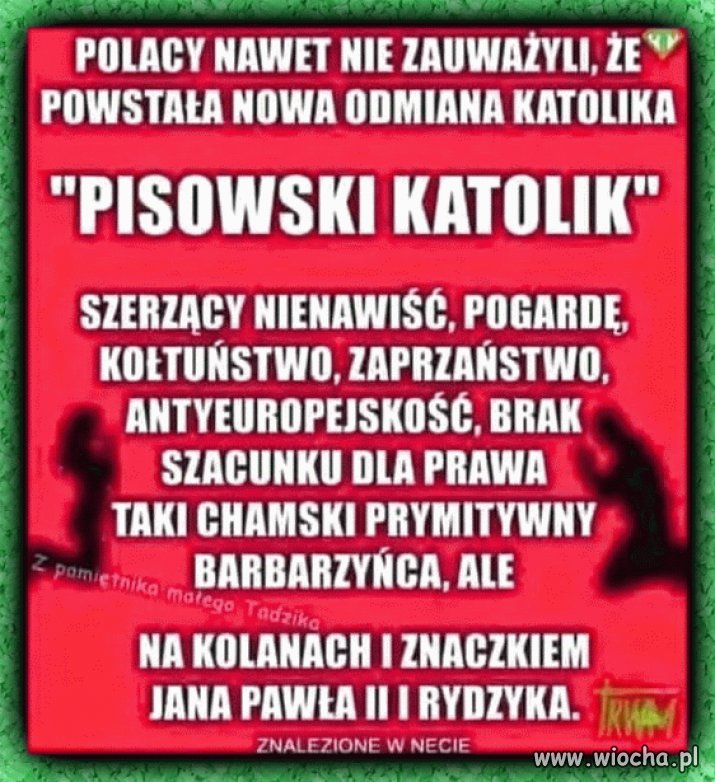 Nowa odmiana katolika