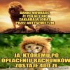 Smutna i szara 