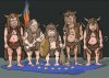 Neandertylczycy XXI wieku w Europie...
