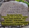 100 % oryginalne
