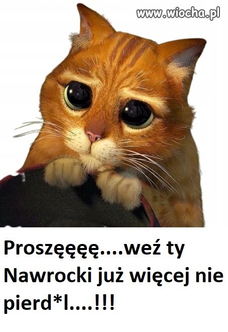 Po 10-tej wersji wyjaśnień wyłudzenia mieszkania
