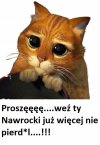 Po 10-tej wersji wyjaśnień wyłudzenia mieszkania