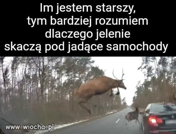 Żonaci wiedzą.